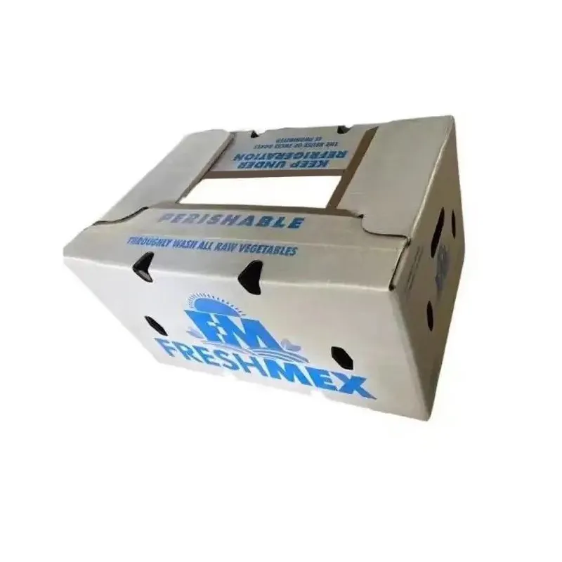 Scatola ondulata in cera stampata con logo